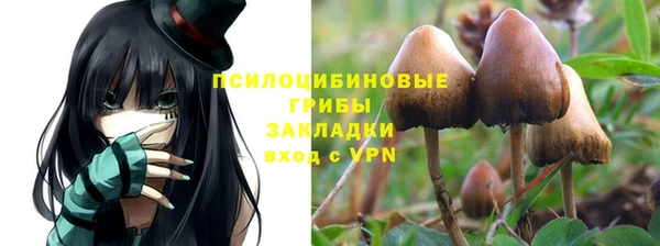 герыч Алексин