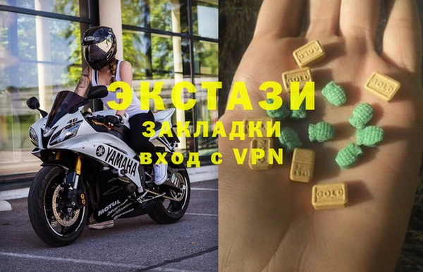 ECSTASY Алзамай