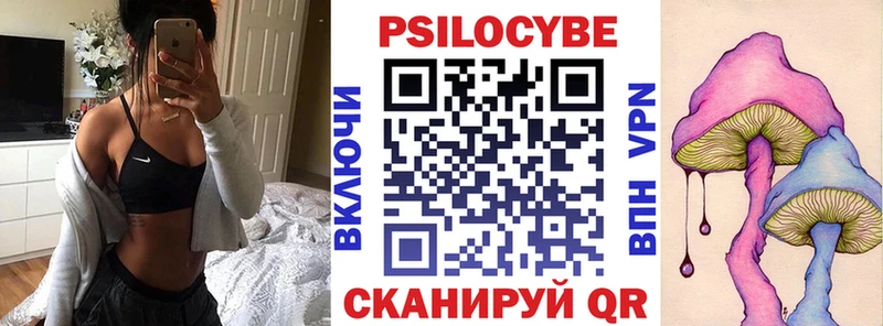 Псилоцибиновые грибы Cubensis  Аргун 